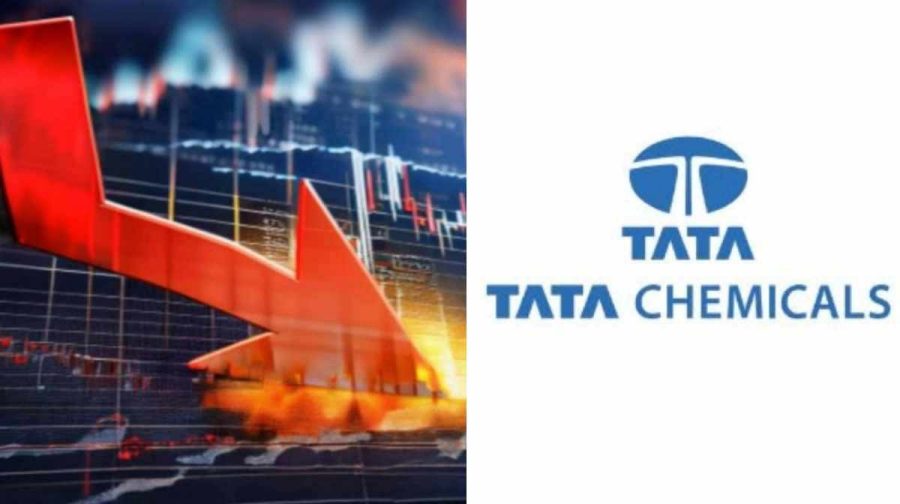 tata-chemical-fall