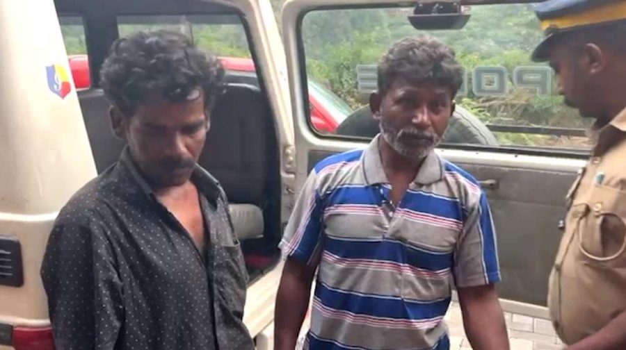 idukki-idol-theft-panchaloha-idol-recovered