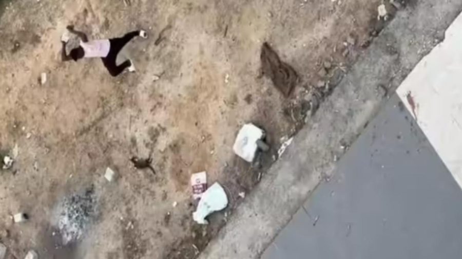 Image Credit: x/jamawat