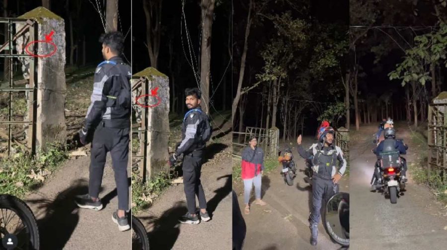 illegal-forest-entry