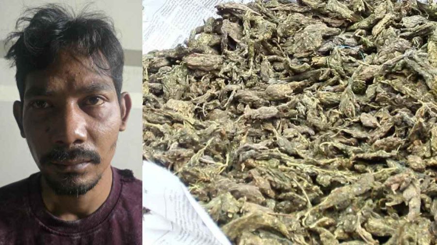 kochi-drug-bust-ganja-arrest