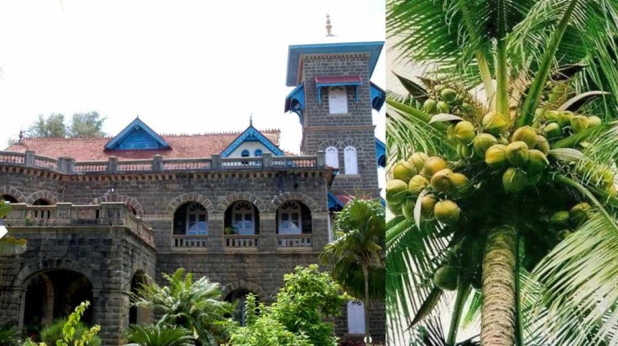thengu-kovalam
