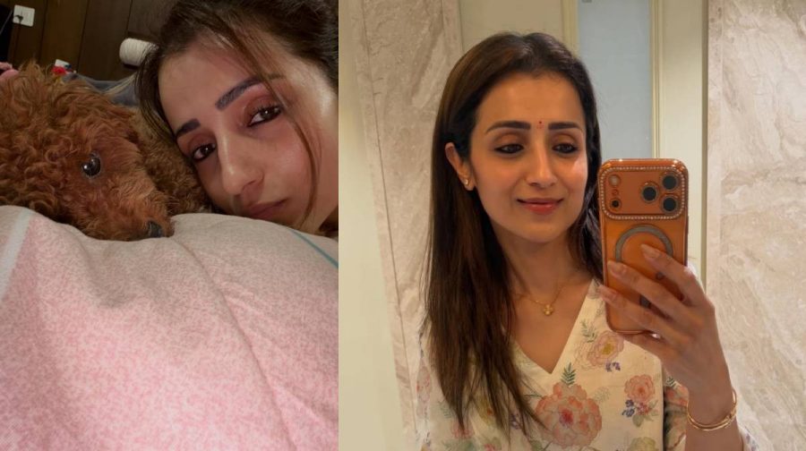trisha-krishnan-gossip-replay