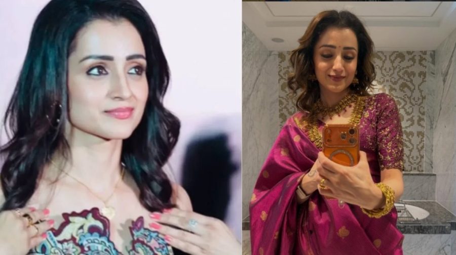 Image: Instagram, trishakrishnan