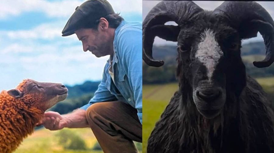 the-sheep-detective