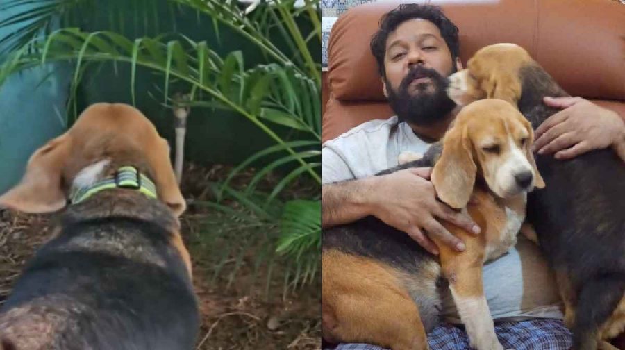actor-bala