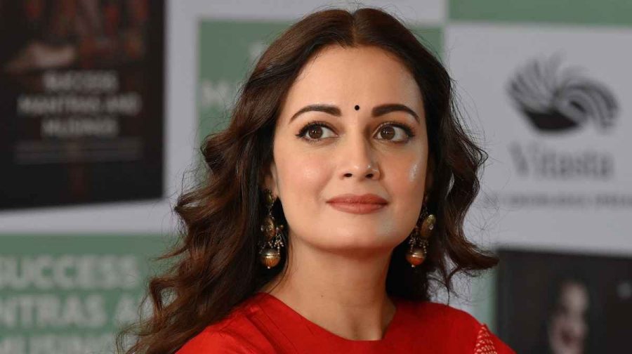 dia-mirza-on-breast-enhancement