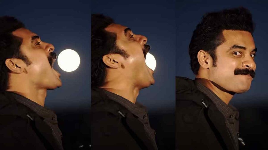 tovino-thomas-harvest-moon