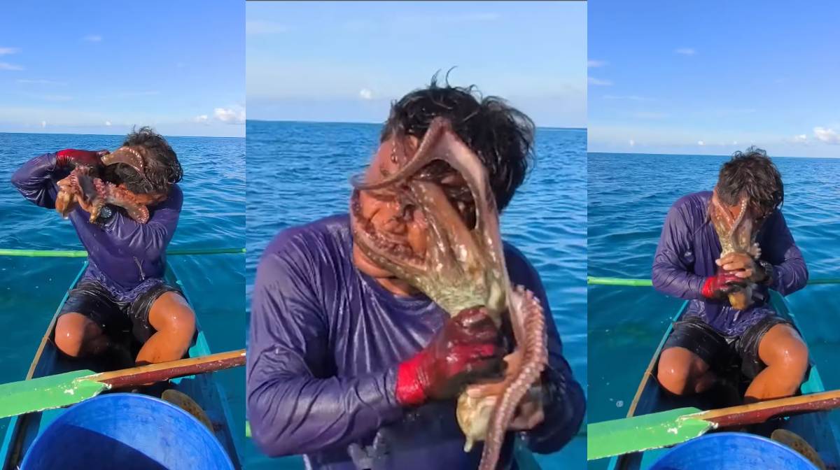 octopus-attack