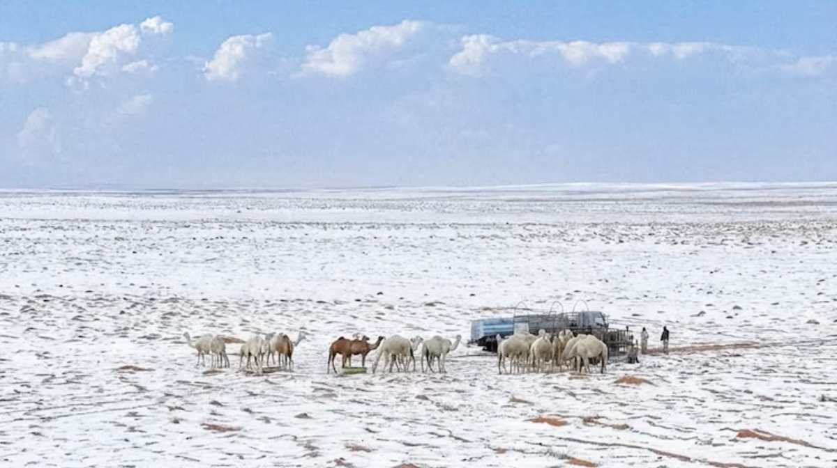 Image: X/GlobeEyeNews