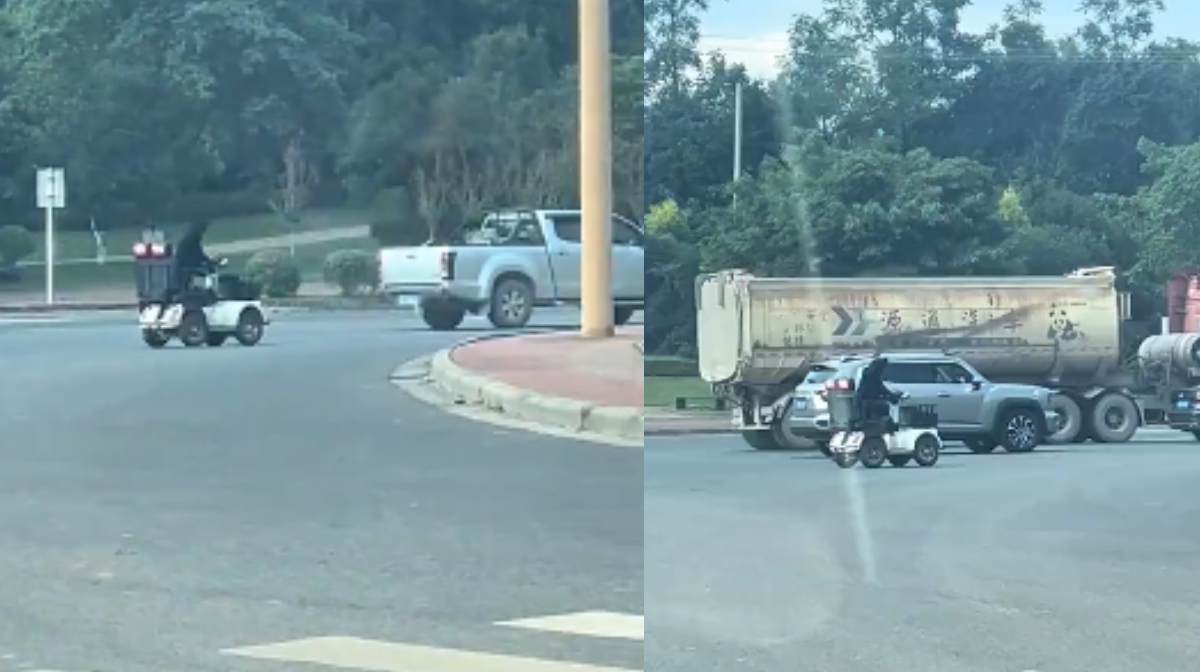 dog-scooter-viral-video