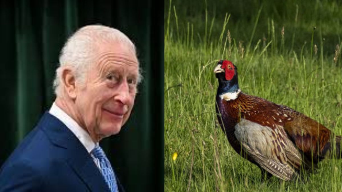 Donated kidneys, corneas, and liver - 1