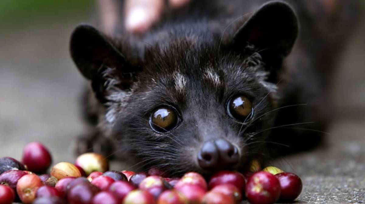 Image credit: Facebook