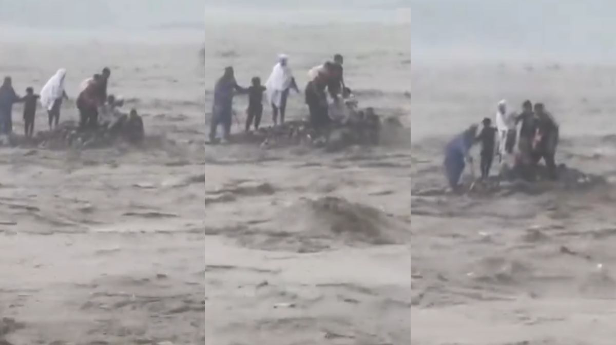 Image Credit: x.com/aima