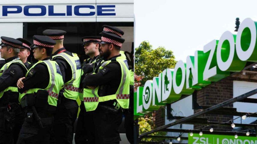 london-zoo-police