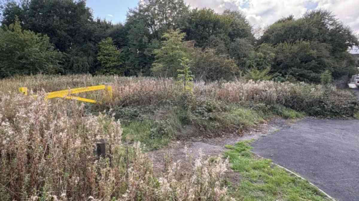 Image Credit: x/bbc (Matthew Cooper/PA Wire)