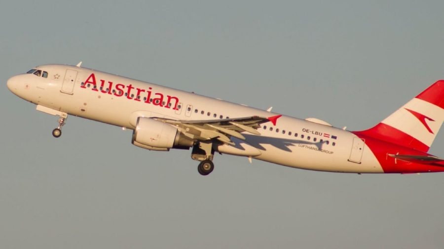 പ്രതീകാത്മക ചിത്രം : (Credit:.facebook.com/AustrianAirlines/vienaspotter)