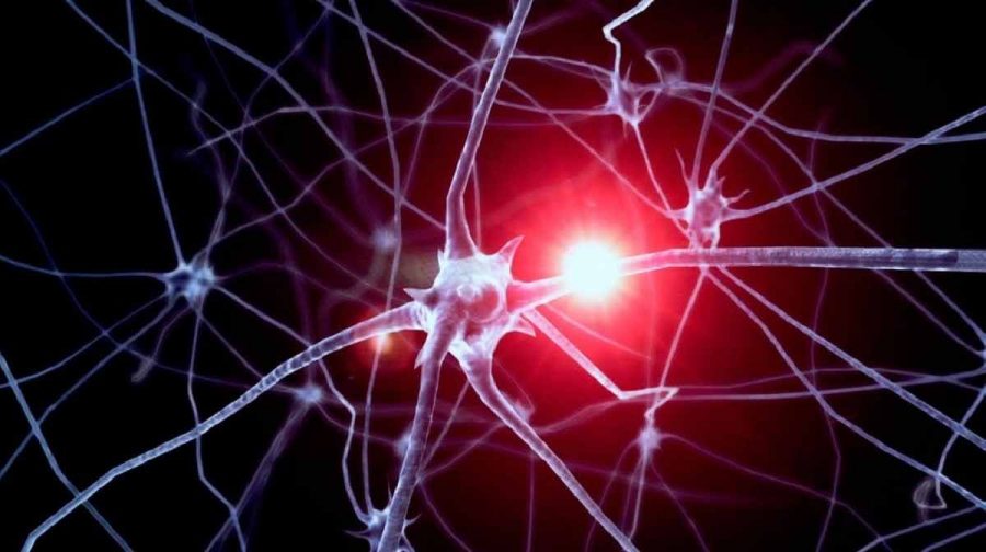optogenetics