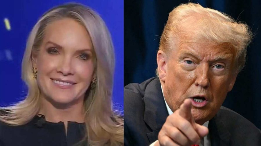Dana perino, Donald trump