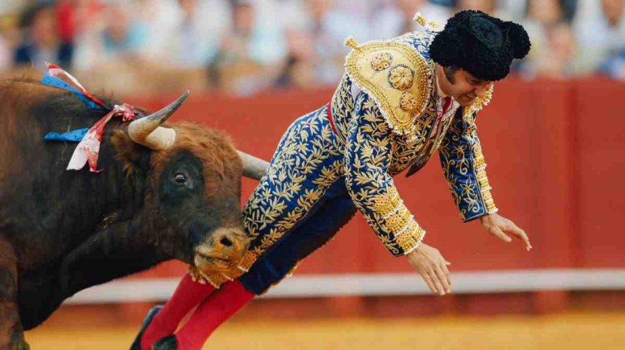 bull-fighter