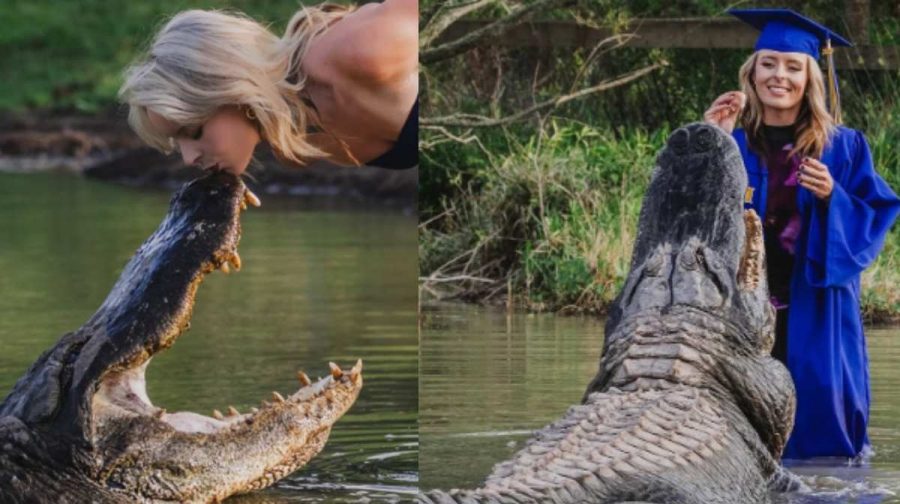 gator-kiss