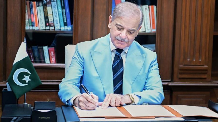 shahabaz-sherief-3