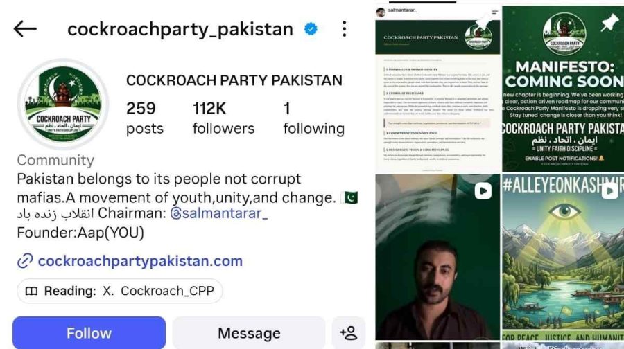 pakistan-cockroach-party