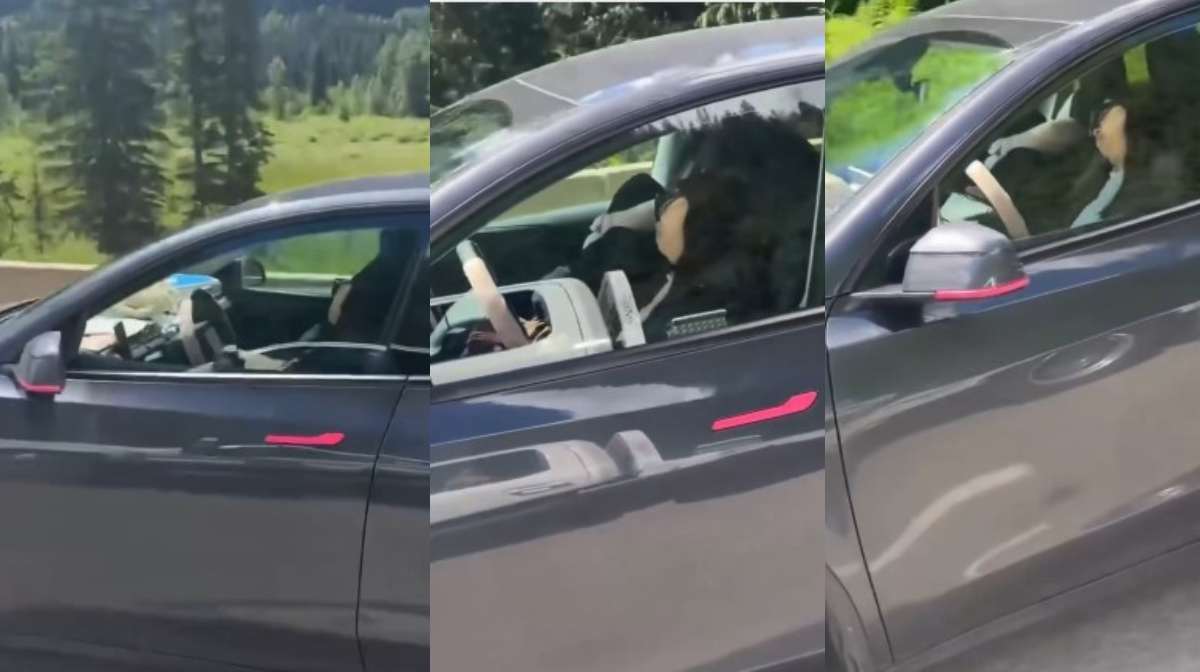 Image from the Video