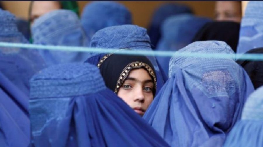 taliban-law