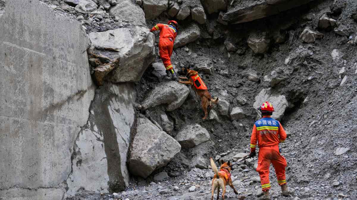In this photo released by Xinhua News Agency, rescuers use sniffer dogs to search for victims at a mudslide-hit area in Gyirong County, southwestern China's Tibet Autonomous Region, Sunday, Aug. 30, 2026. AP/PTI(AP08_31_2026_000410B)