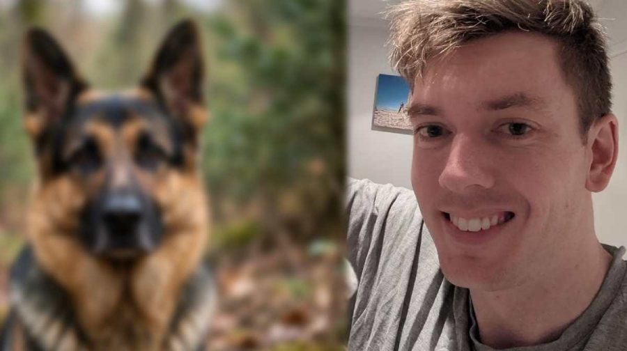 dog-rape