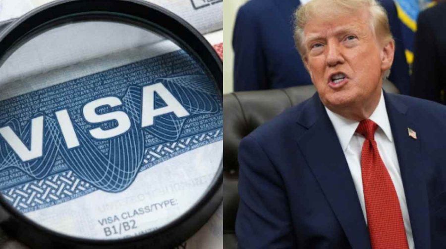 visa-trump