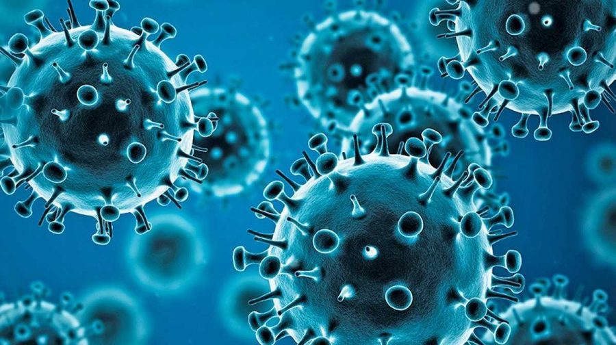 influenza-outbreak-kerala