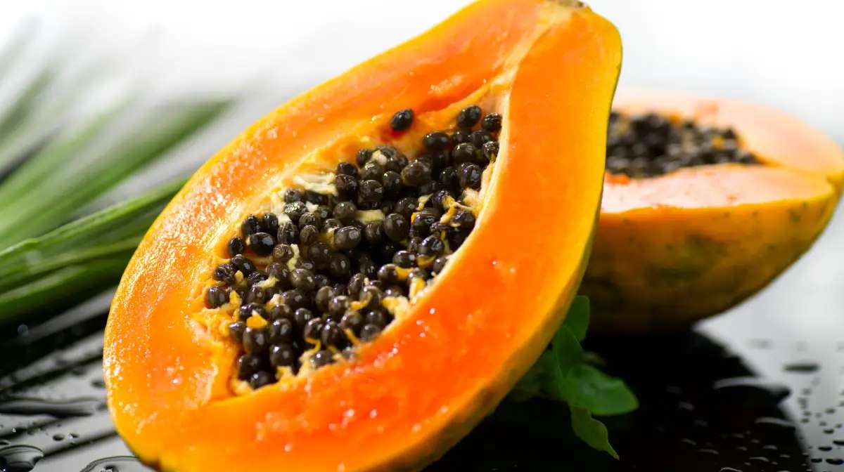papaya
