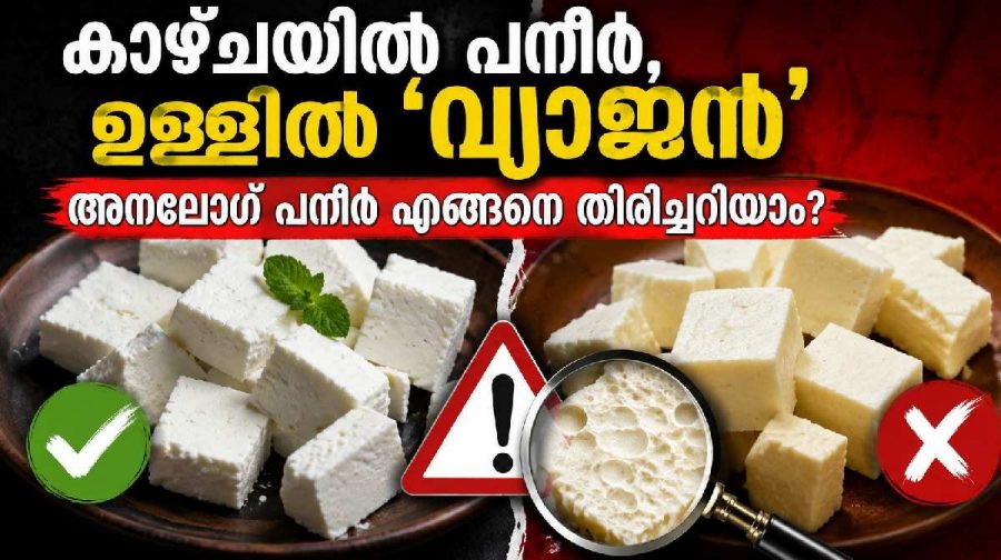 synthetic-paneer-awareness