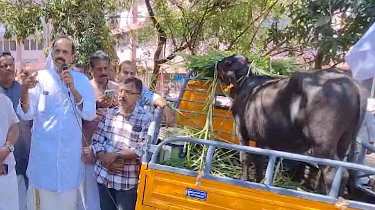 mahe-protest