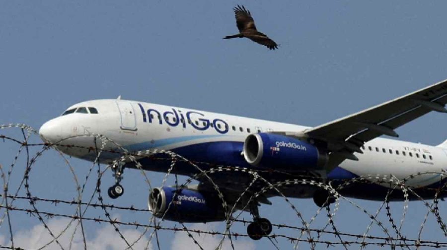 indigo-dgca-notice