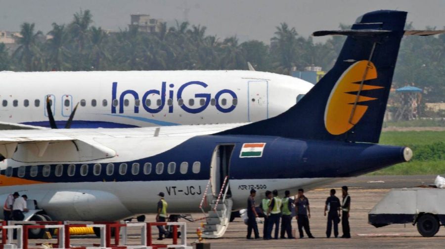INDIGO-1-