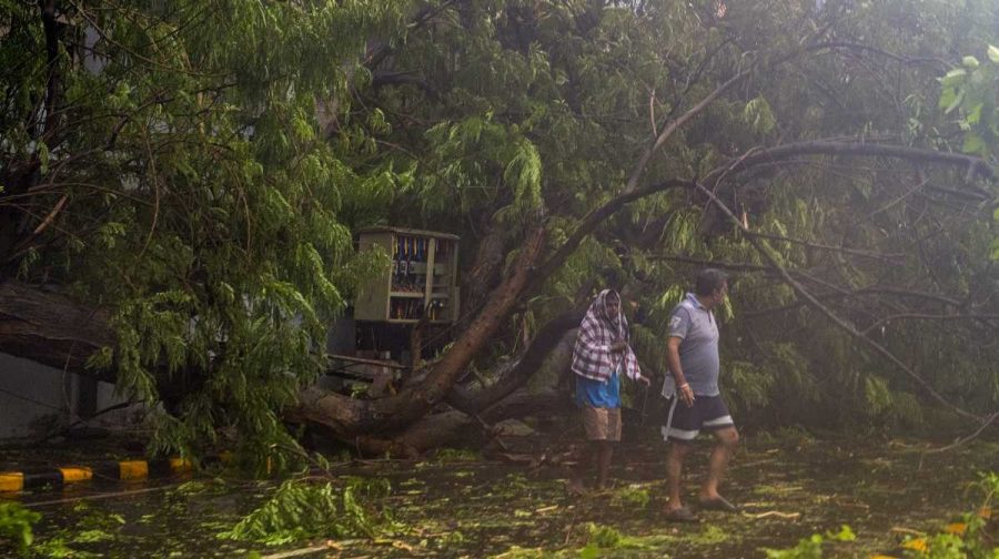 Visakhapatnam: A large tree uprooted by squally winds blocks a road ahead of the impending landfall of cyclonic storm 'Arnab', in Visakhapatnam, Andhra Pradesh, Tuesday, Oct. 27, 2026. (PTI Photo/Nani Narendra)