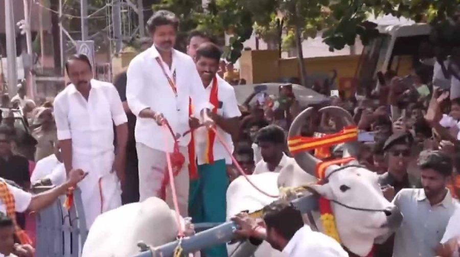 vijay-road-show