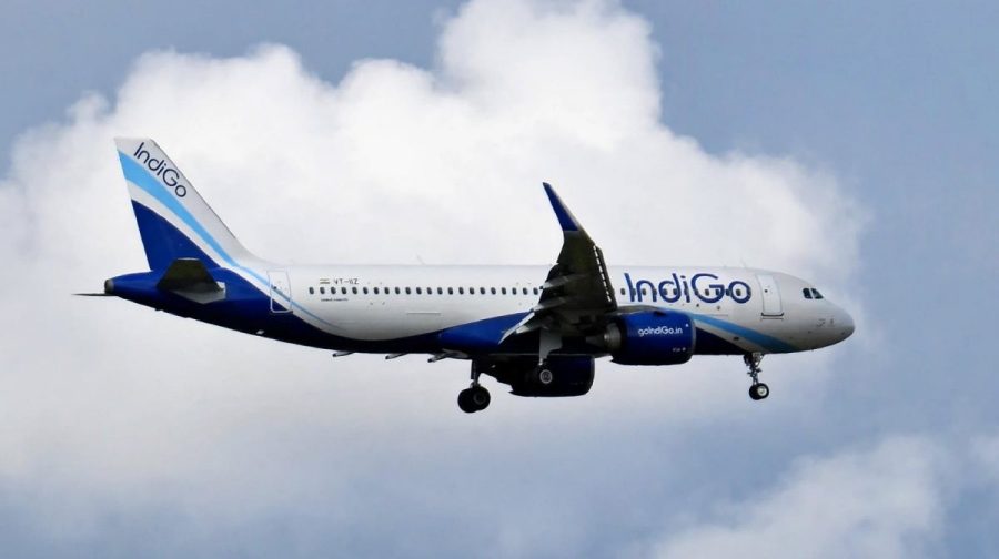 indigo-flight