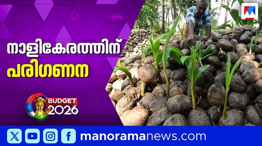 coconut-union-budget-2026