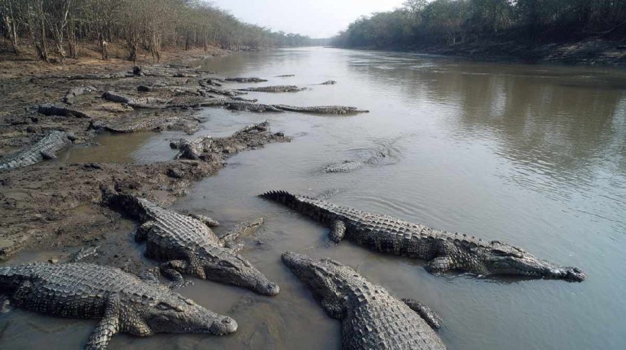 എഐ നിര്‍മ്മിത പ്രതീകാത്മക ചിത്രം
