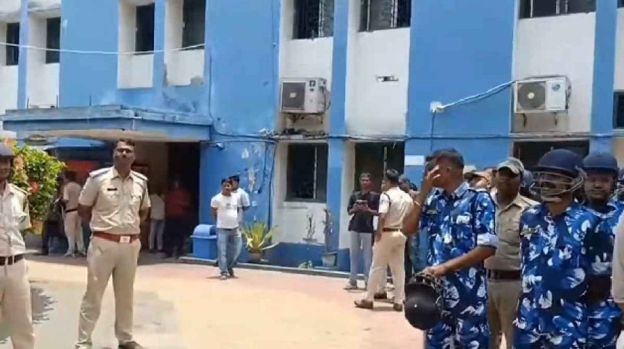 bengal