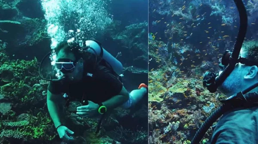 andaman-scuba-dive-rahul-gandhi