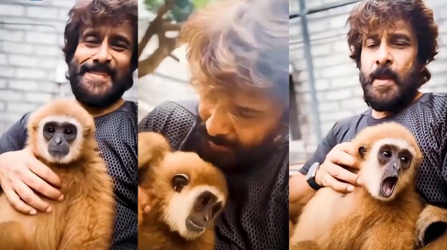 actor-vikram-case-monkey