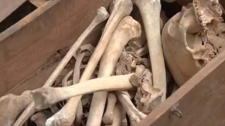 delhi-skelton