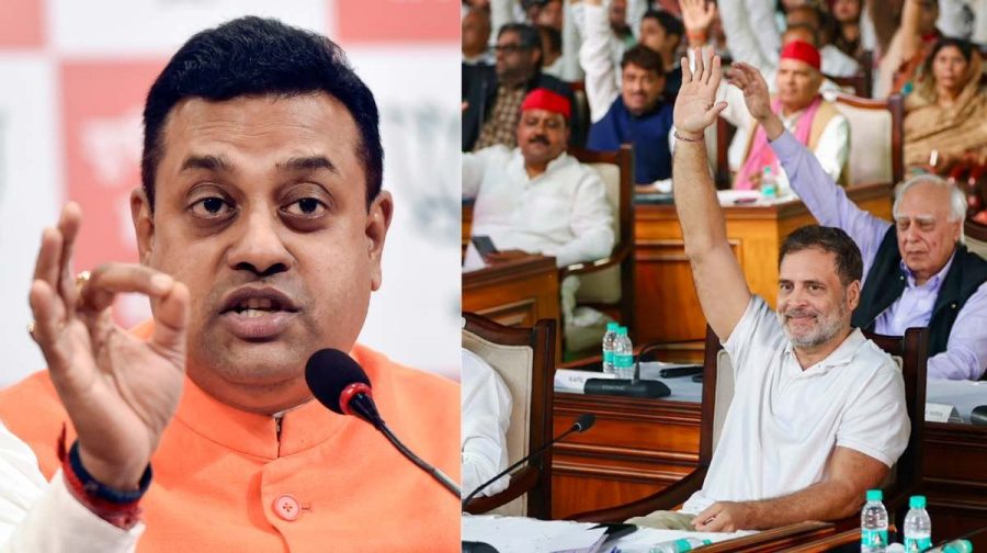 rahul-mock-parliament