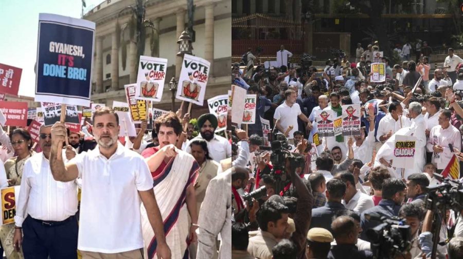 rahul-gandhi-priyanka-protest
