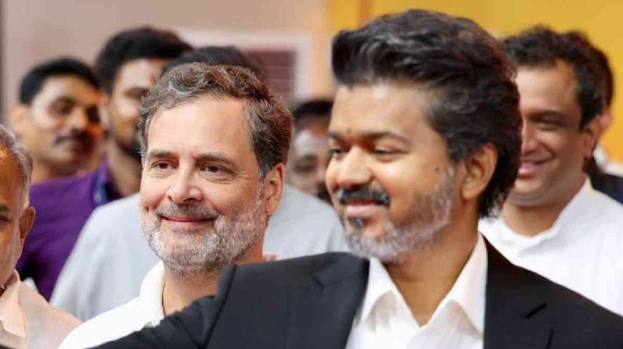 vijay-rahul-gandhi